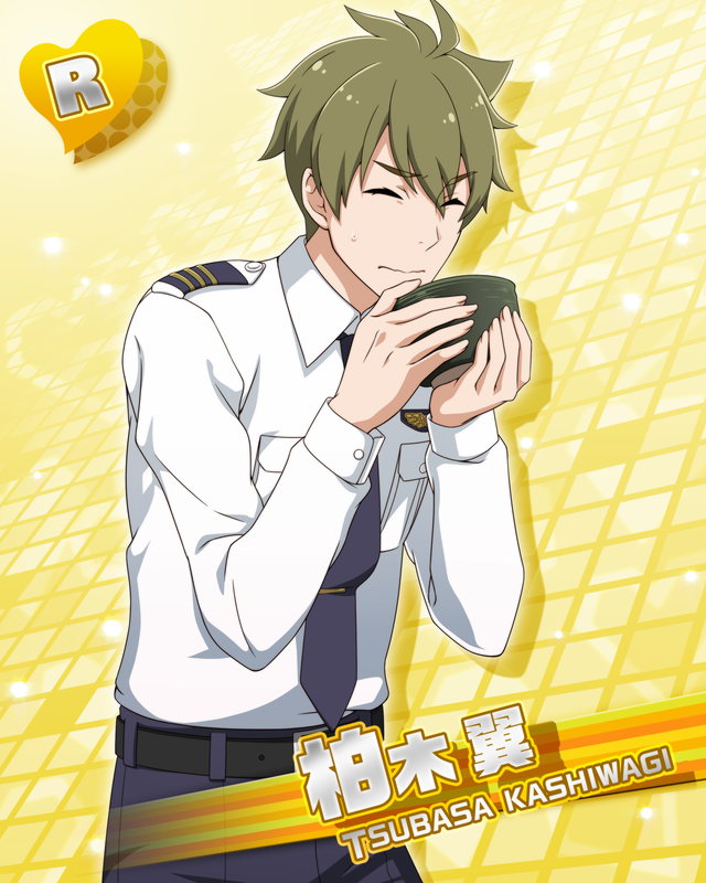 【最終】SideM スイパラ 柏木翼 缶バッジ14点セット アイドルマスター20周年 公式φ75mmグリッター缶バッジ(柏木 翼)